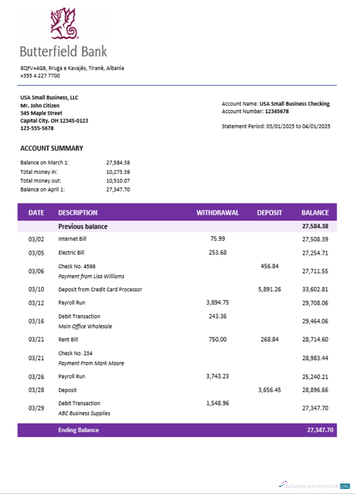 Download Butterfield bank organization checking account statement Word and PDF format Photoshop template